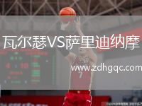 瓦爾瑟VS薩里迪納摩