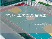 特萊克姆波恩VS海德堡