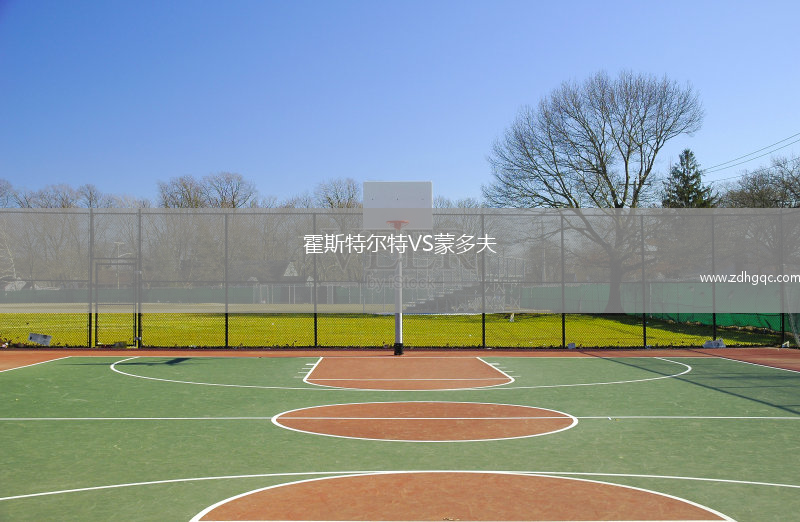 霍斯特爾特VS蒙多夫