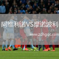 阿維利諾VS摩諾波利