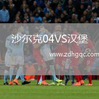 沙爾克04VS漢堡