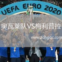 奧瓦萊隊VS梅利普拉