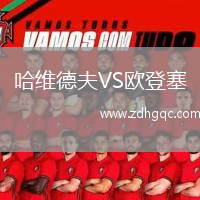 哈維德夫VS歐登塞