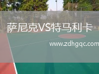 薩尼克VS特馬利卡