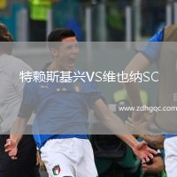 特賴(lài)斯基興VS維也納SC