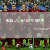 禾斯貝治VS斯特利費寧