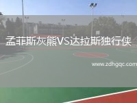 孟菲斯灰熊VS達拉斯獨行俠