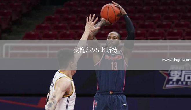 戈梅爾VS比斯特