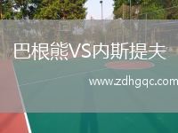 巴根熊VS內斯提夫