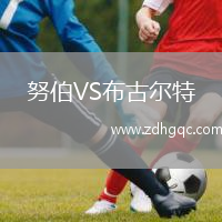 努伯VS布古爾特