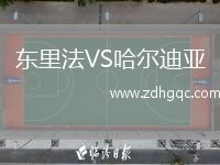 東里法VS哈爾迪亞