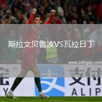 斯拉文貝魯波VS瓦拉日丁