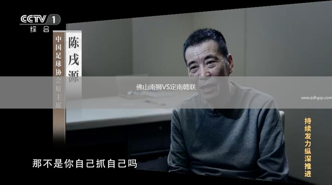 佛山南獅VS定南贛聯(lián)