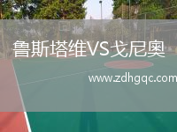 魯斯塔維VS戈尼奧