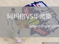 阿瑪格VS華路斯