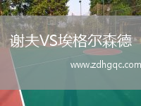 謝夫VS埃格爾森德