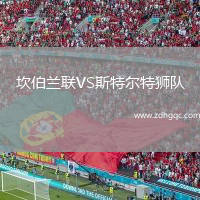 坎伯蘭聯(lián)VS斯特爾特獅隊