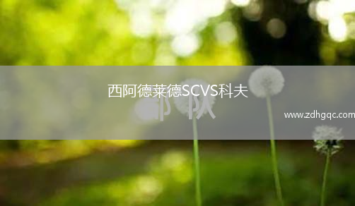 西阿德萊德SCVS科夫