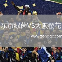 東京綠茵VS大阪櫻花