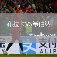 布拉卡VS希伯納