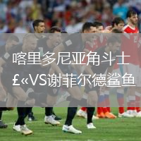 喀里多尼亞角斗士VS謝菲爾德鯊魚(yú)