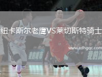紐卡斯爾老鷹VS萊切斯特騎士