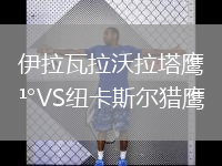 伊拉瓦拉沃拉塔鷹VS紐卡斯爾獵鷹