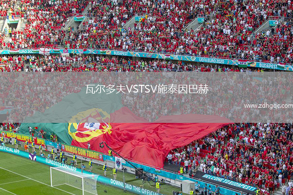 瓦爾多夫VSTSV施泰因巴赫