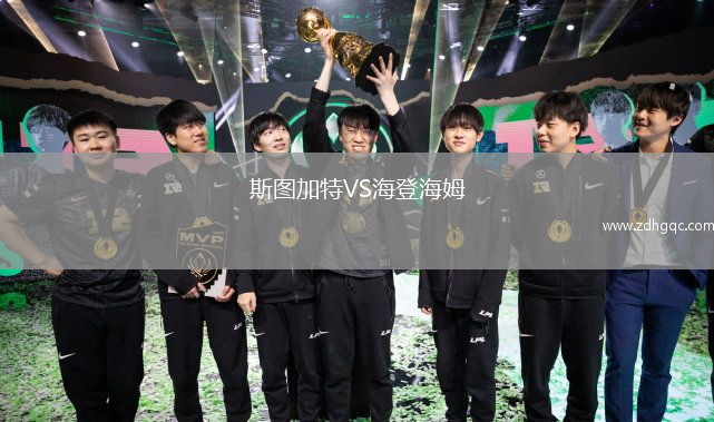 斯圖加特VS海登海姆