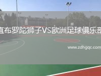 直布羅陀獅子VS歐洲足球俱樂(lè )部