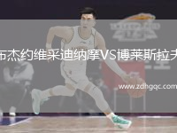 布杰約維采迪納摩VS博萊斯拉夫