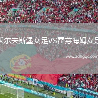 沃爾夫斯堡女足VS霍芬海姆女足