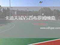 卡迪夫城VS西布羅姆維奇