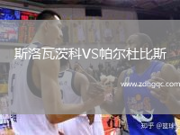 斯洛瓦茨科VS帕爾杜比斯