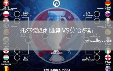 托爾德西利亞斯VS莫哈多斯