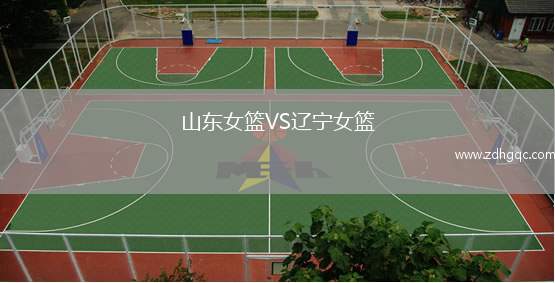 山東女籃VS遼寧女籃
