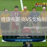 維捷布斯克VS戈梅利