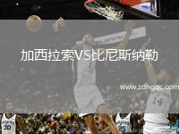 加西拉索VS比尼斯納勒