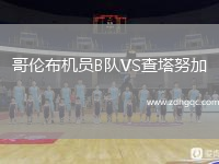 哥倫布機員B隊VS查塔努加