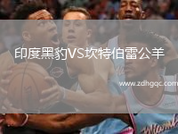 印度黑豹VS坎特伯雷公羊