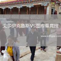 戈多伊克魯斯VS圖庫曼競技