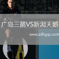 廣島三箭VS新潟天鵝