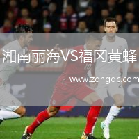 湘南麗海VS福岡黃蜂