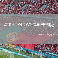 高松SONIOVS高知美洲駝