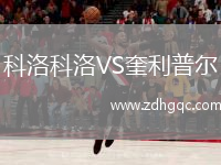 科洛科洛VS奎利普爾