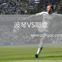 波琴VS耶拿