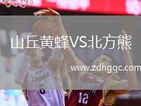山丘黃蜂VS北方熊