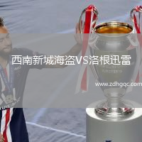 西南新城海盜VS洛根迅雷