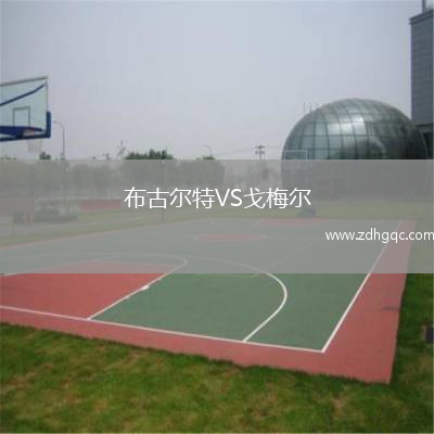 布古爾特VS戈梅爾