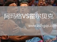 阿瑪格VS霍爾貝克
